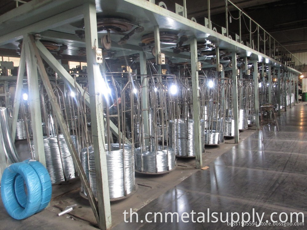 Galvanized Steel Wire
